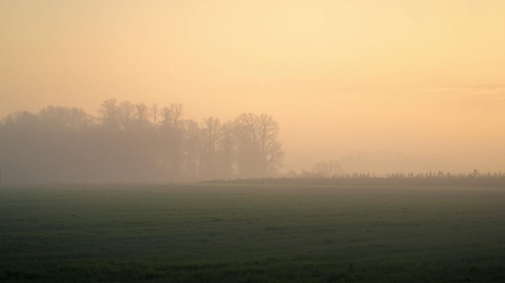 寂しさと落ち着きが混ざったような雰囲気。